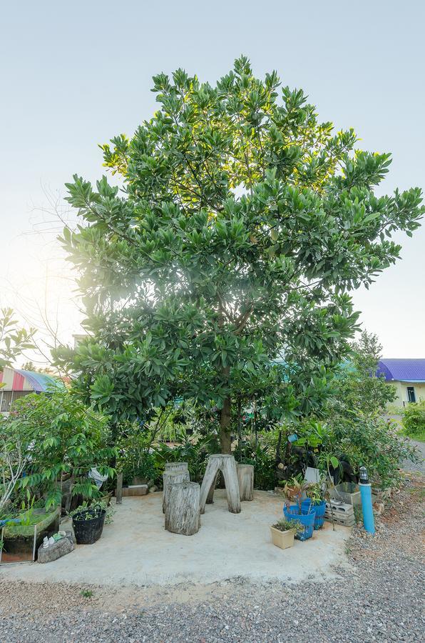 Ariya Garden Home Chumphon Eksteriør bilde
